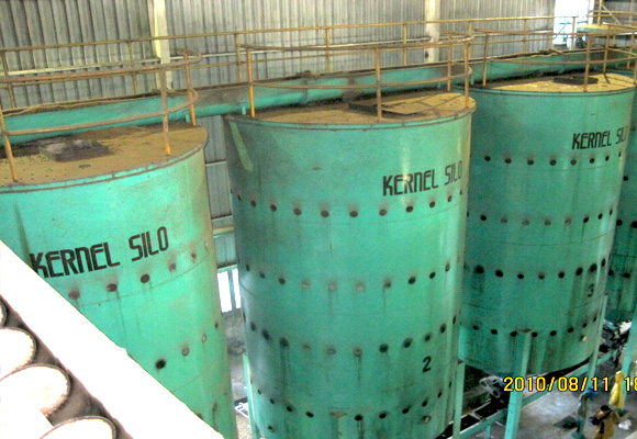  1.Palm Kernel Drying Section