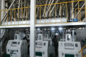 100TPD Maize Grits and Corn Flour Production Line