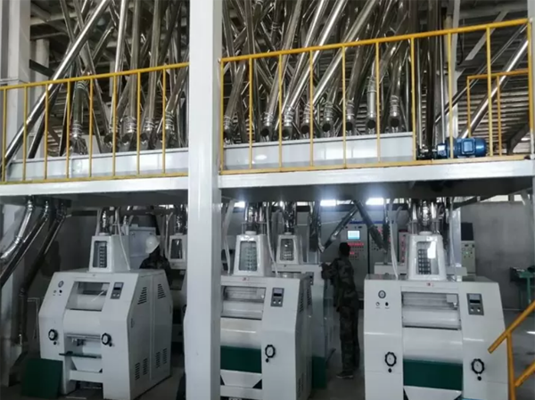 100TPD Corn Grits Flour Production Line