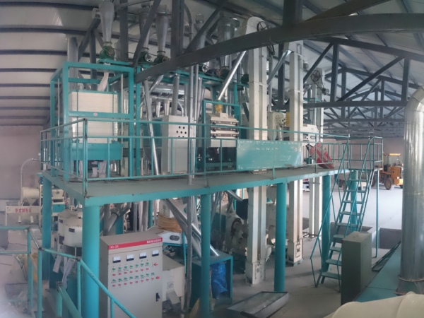 100TPD Maize Flour Mill Processing Line