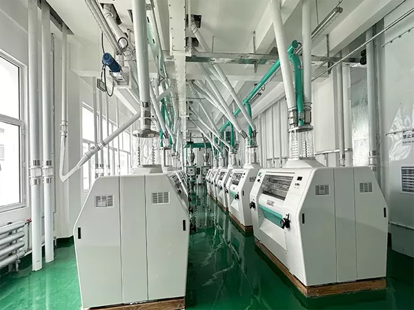 150TPD Wheat flour processing line