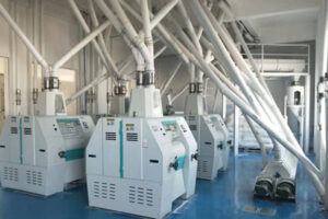 300-1000Ton corn flour processing line manufacturer