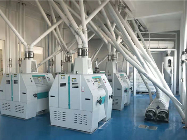 300-1000Ton corn flour processing line manufacturer