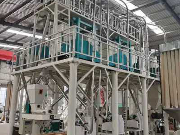 30T Maize flour milling making machine