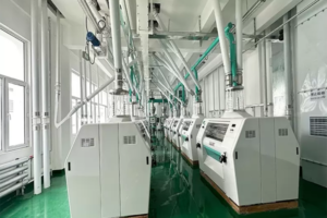 600Tons Large-Scale Wheat Flour Production Line