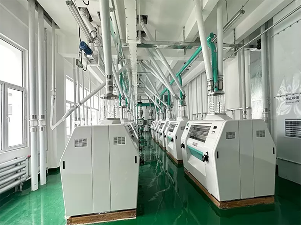 600Tons Wheat Flour Production Line Manufacturer