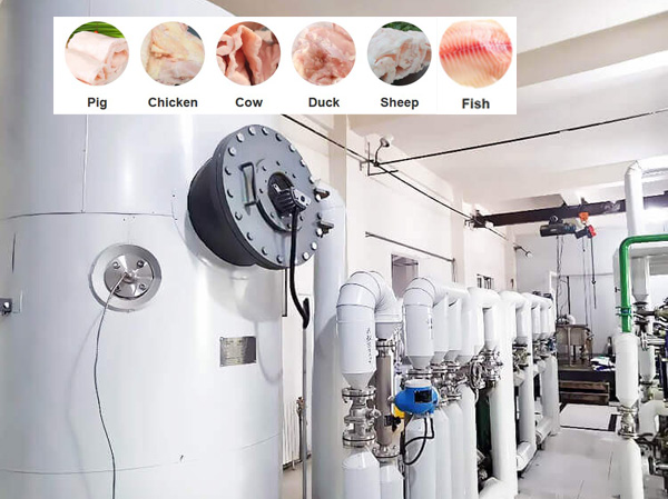 Animal fat oil extraction machine manufacturers.jpg