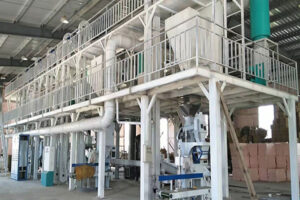 Barley Flour Processing Machine Manufacturer