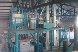 Buckwheat Flour Processing Machine Manufacturer