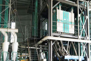 Chickpea Processing Machine Manufacturer