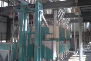 Commercial rice mill processing machine price