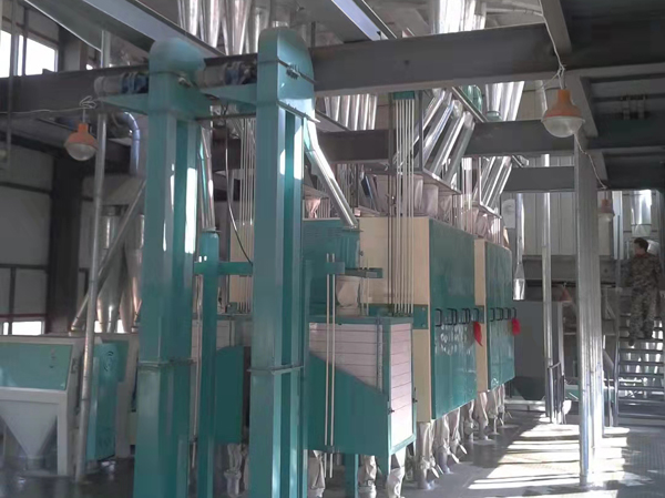 Commercial rice mill production machine