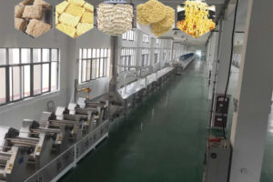 Automatic fried instant noodles production line