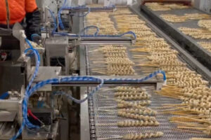 Full automatic gluten production line manufacturer