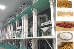 Grain Seeds Cleaning Production line Solution