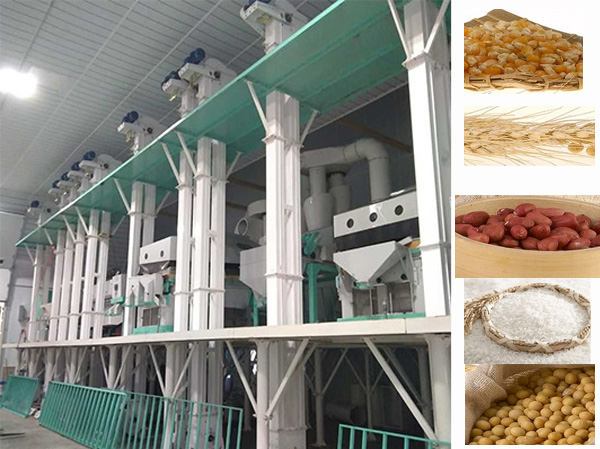 Grain Seeds Cleaning Production line Solution in china