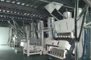 Grain and pulses processing machine manufacturer