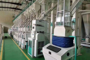 Green coffee beans processing machine manufacturer