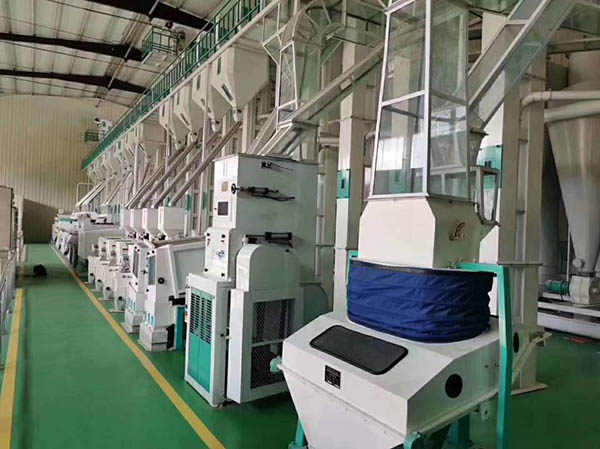 Green coffee beans processing machine manufacturer