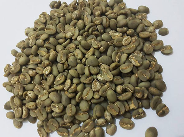 Green coffee beans processing machine