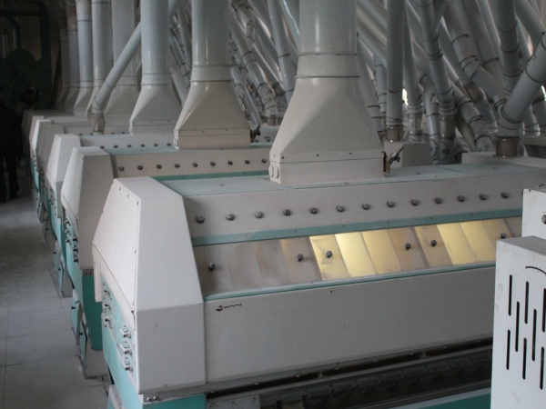 Instant Oat Flakes Production Line