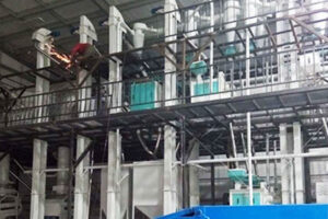 Lentil flour processing machine manufacturer