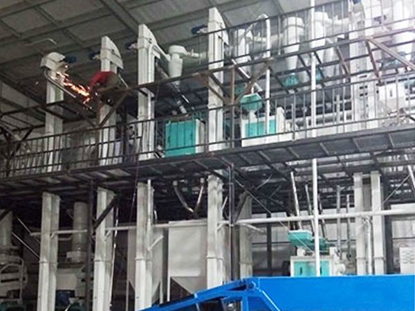 Lentil flour processing machine manufacturer