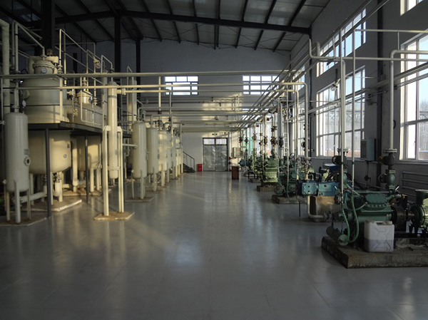 Linseed oil production line manufacturers