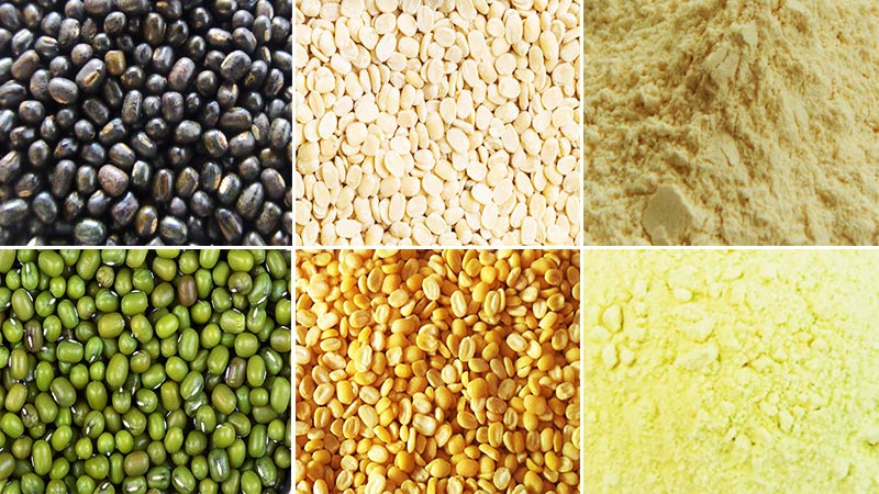 Mung Bean processing machine manufacturer