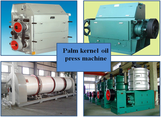 Palm kernel oil press production line workflow