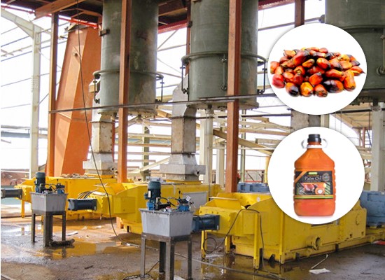 Palm oil production line