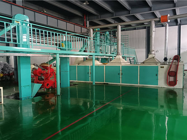 Pretreatment equipment of camellia oil production line