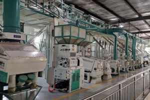 Quinoa processing machine manufacturer