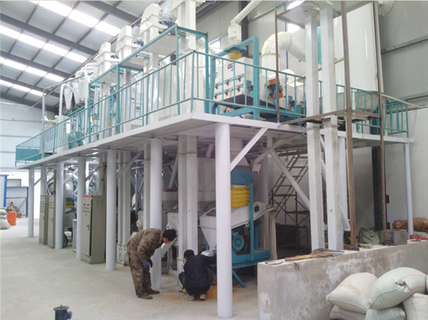 Sorghum Processing Machine Manufacturer