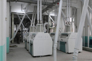 Soybean processing machine manufacturer