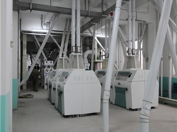 Soybean processing machine manufacturer