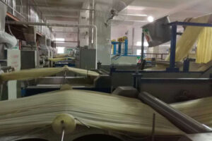 automatic self cooked rice noodles production line manufacturer