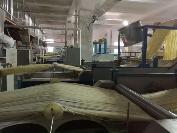 Straight dried Rice noodles production line manufacturer