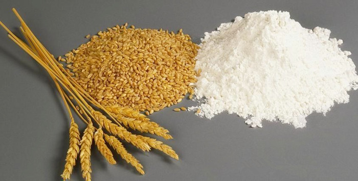 Wheat flour plant