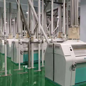 corn flour production line