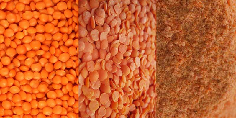 lentil-flour-processing-machine-manufacturer