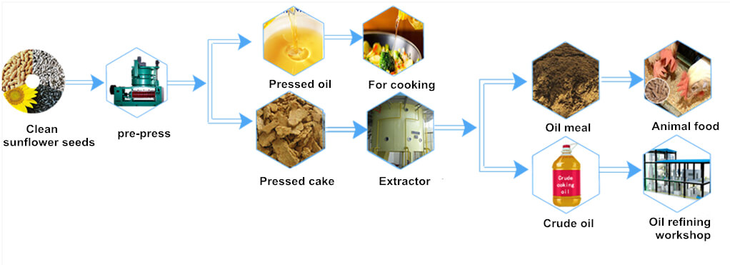 sunflower-seed-pre-press-and-meal-extraction-process