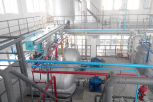 Tea seed oil production line manufacturer