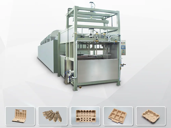 Automation pulp molding industrial packaging production line manufacturer