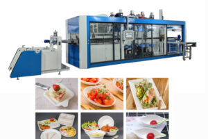 Automatic disposable degradable tableware production line manufacturer