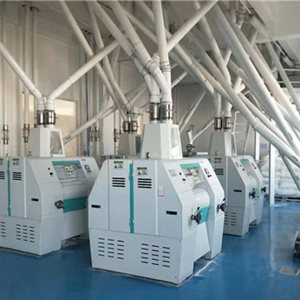 wheat flour production line