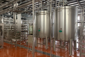 Kiwi Dragon FruitBlueberry Lemon Enzyme Production Line Manufacturer