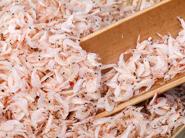 Characteristics of shrimp skin dryer