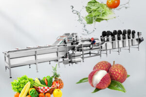 Complete set of equipment for vegetable processing assembly line