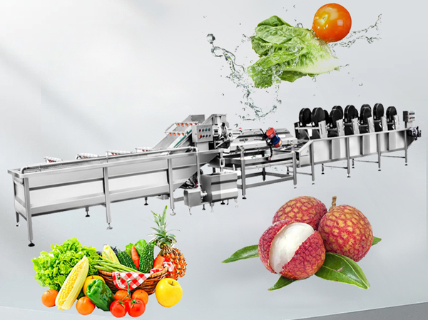 Complete set of equipment for vegetable processing assembly line